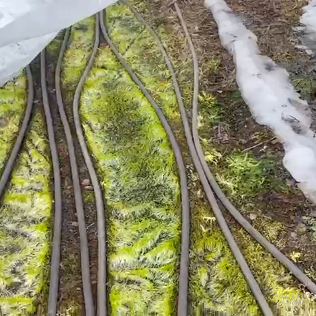 Аренда установки прогрева грунта и бетона Hot Black Hose 1000 (дизельная) в компании ГенПрокат