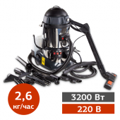 Пароочистители